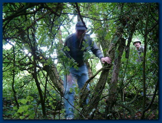 600x449 pixels (200K)